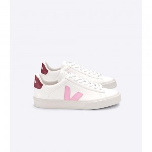 Tenis Veja CAMPO CHROMEFREE Hombre White/Pink | MX 1270NBA