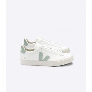 Tenis Veja CAMPO CHROMEFREE Hombre White/Mint | MX 1268VDO