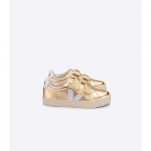 Tenis Veja ESPLAR CHROMEFREE Niños Dorados | MX 1526XFU
