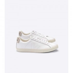 Tenis Veja ESPLAR LEATHER Hombre Blancos | MX 1255PQC