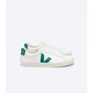 Tenis Veja ESPLAR LEATHER Hombre White/Green | MX 1258DNN