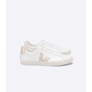 Tenis Veja ESPLAR LEATHER Mujer White/Brown | MX 1745YUK