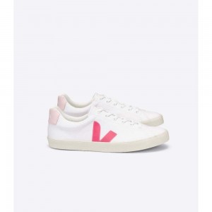 Tenis Veja ESPLAR SE CANVAS Mujer White/Pink | MX 1743RWH