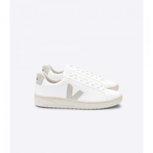 Tenis Veja URCA CWL Hombre White/Beige | MX 1243BCP