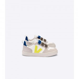 Tenis Veja V-10 X BONTON Niños White/Blue | MX 1508EXG