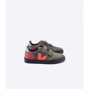 Tenis Veja V-12 SUEDE Niños Verde Oliva | MX 1480QZD