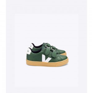 Zapatos Veja ESPLAR LEATHER Niños Verdes | MX 1615YUK