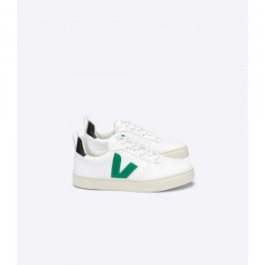 Zapatos Veja V-10 LACE CWL Niños White/Green | MX 1563YUK