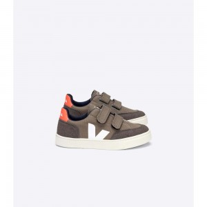 Zapatos Veja V-12 CANVAS Niños Cafes | MX 1547HKW